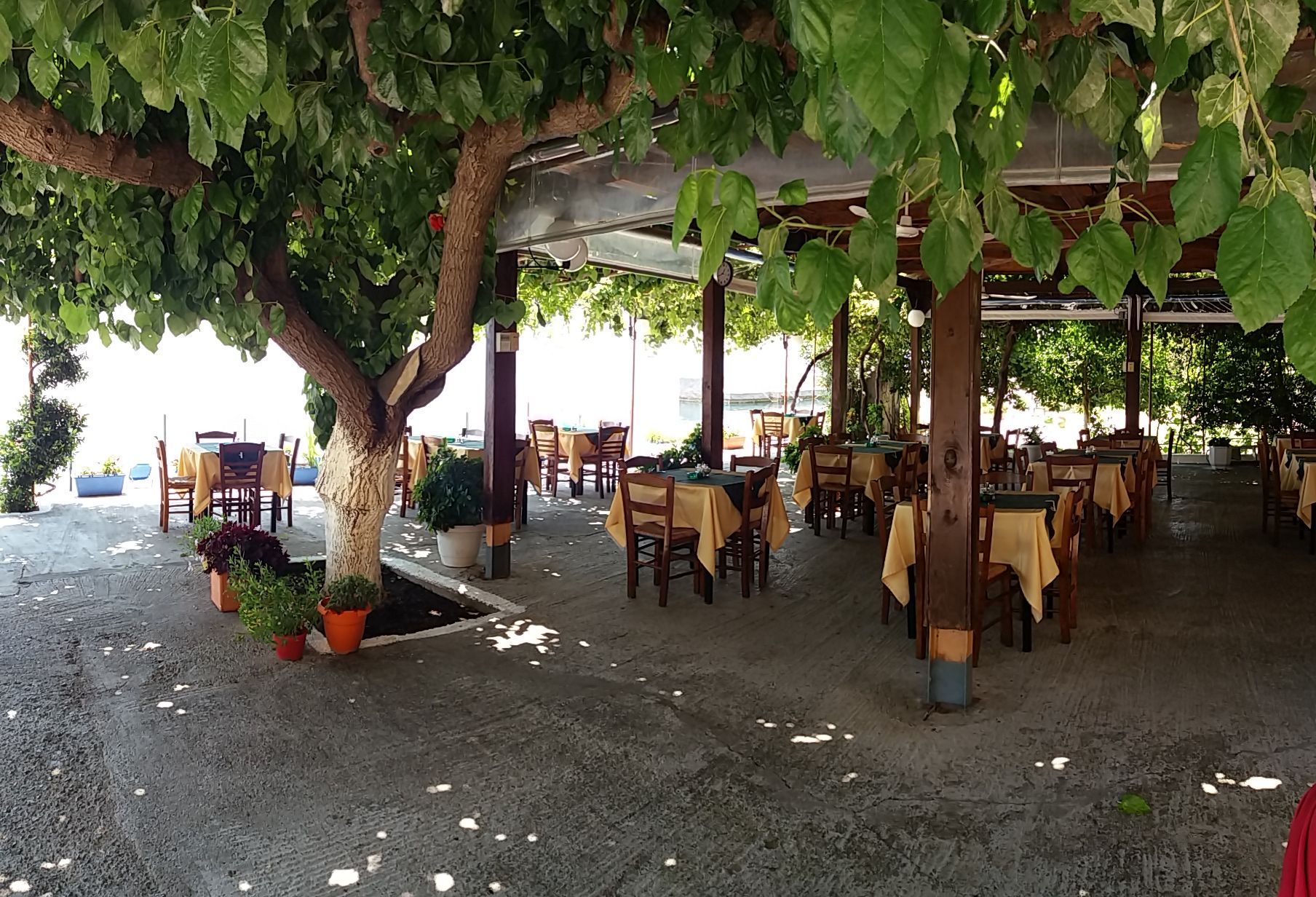 Balaska Tavern Ilia Evoias